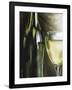 Vernaccia-Tandi Venter-Framed Giclee Print