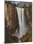 Vernal Falls, 1863 (Oil on Paper, Mounted on Canvas)-Albert Bierstadt-Mounted Giclee Print