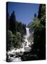 Vernal Falls, 318Ft., Yosemite National Park, Unesco World Heritage Site, California, USA-Geoff Renner-Stretched Canvas