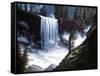 Vernal Falls-R.W. Hedge-Framed Stretched Canvas