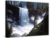 Vernal Falls-R.W. Hedge-Stretched Canvas