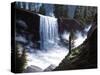 Vernal Falls-R.W. Hedge-Stretched Canvas