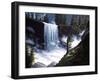 Vernal Falls-R.W. Hedge-Framed Giclee Print