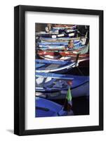 Vernazza, Cinque Terre, Liguria, Italy, Europe-Gavin Hellier-Framed Photographic Print