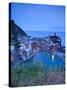 Vernazza, Cinque Terre, Riviera Di Levante, Liguria, Italy-Jon Arnold-Stretched Canvas