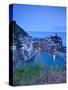 Vernazza, Cinque Terre, Riviera Di Levante, Liguria, Italy-Jon Arnold-Stretched Canvas