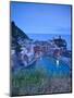 Vernazza, Cinque Terre, Riviera Di Levante, Liguria, Italy-Jon Arnold-Mounted Photographic Print