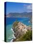 Vernazza, Cinque Terre, Riviera Di Levante, Liguria, Italy-Jon Arnold-Stretched Canvas