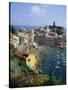 Vernazza, Cinque Terre, Unesco World Heritage Site, Italian Riviera, Liguria, Italy, Europe-Sheila Terry-Stretched Canvas