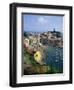 Vernazza, Cinque Terre, Unesco World Heritage Site, Italian Riviera, Liguria, Italy, Europe-Sheila Terry-Framed Photographic Print