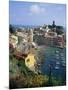 Vernazza, Cinque Terre, Unesco World Heritage Site, Italian Riviera, Liguria, Italy, Europe-Sheila Terry-Mounted Photographic Print
