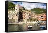 Vernazza, Cinque Terre, UNESCO World Heritage Site, Liguria, Italy, Europe-Peter Groenendijk-Framed Stretched Canvas