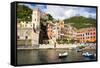 Vernazza, Cinque Terre, UNESCO World Heritage Site, Liguria, Italy, Europe-Peter Groenendijk-Framed Stretched Canvas