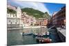 Vernazza, Cinque Terre, UNESCO World Heritage Site, Liguria, Italy, Europe-Peter Groenendijk-Mounted Photographic Print