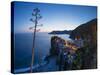 Vernazza, Cinque Terre, UNESCO World Heritage Site, Liguria, Italy, Europe-Gavin Hellier-Stretched Canvas