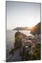 Vernazza, Cinque Terre, UNESCO World Heritage Site, Liguria, Italy, Europe-Gavin Hellier-Mounted Photographic Print