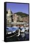 Vernazza, Cinque Terre, UNESCO World Heritage Site, Liguria, Italy, Europe-Gavin Hellier-Framed Stretched Canvas