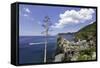 Vernazza, Cinque Terre, UNESCO World Heritage Site, Liguria, Italy, Europe-Gavin Hellier-Framed Stretched Canvas