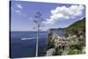 Vernazza, Cinque Terre, UNESCO World Heritage Site, Liguria, Italy, Europe-Gavin Hellier-Stretched Canvas
