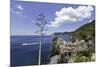 Vernazza, Cinque Terre, UNESCO World Heritage Site, Liguria, Italy, Europe-Gavin Hellier-Mounted Photographic Print