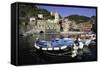 Vernazza, Cinque Terre, UNESCO World Heritage Site, Liguria, Italy, Europe-Gavin Hellier-Framed Stretched Canvas