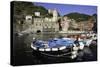 Vernazza, Cinque Terre, UNESCO World Heritage Site, Liguria, Italy, Europe-Gavin Hellier-Stretched Canvas