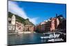 Vernazza, Cinque Terre, UNESCO World Heritage Site, Liguria, Italy, Europe-Peter Groenendijk-Mounted Photographic Print