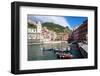 Vernazza, Cinque Terre, UNESCO World Heritage Site, Liguria, Italy, Europe-Peter Groenendijk-Framed Premium Photographic Print