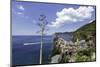 Vernazza, Cinque Terre, UNESCO World Heritage Site, Liguria, Italy, Europe-Gavin Hellier-Mounted Photographic Print