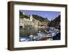 Vernazza, Cinque Terre, UNESCO World Heritage Site, Liguria, Italy, Europe-Gavin Hellier-Framed Photographic Print