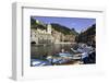 Vernazza, Cinque Terre, UNESCO World Heritage Site, Liguria, Italy, Europe-Gavin Hellier-Framed Photographic Print