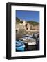 Vernazza, Cinque Terre, UNESCO World Heritage Site, Liguria, Italy, Europe-Gavin Hellier-Framed Photographic Print