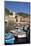 Vernazza, Cinque Terre, UNESCO World Heritage Site, Liguria, Italy, Europe-Gavin Hellier-Mounted Photographic Print