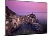 Vernazza Harbour at Dusk, Vernazza, Cinque Terre, UNESCO World Heritage Site, Liguria, Italy-Patrick Dieudonne-Mounted Photographic Print