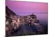 Vernazza Harbour at Dusk, Vernazza, Cinque Terre, UNESCO World Heritage Site, Liguria, Italy-Patrick Dieudonne-Mounted Photographic Print