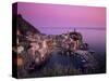 Vernazza Harbour at Dusk, Vernazza, Cinque Terre, UNESCO World Heritage Site, Liguria, Italy-Patrick Dieudonne-Stretched Canvas