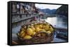 Vernazza Still Life, Cinque Terre, Italy-George Oze-Framed Stretched Canvas