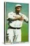 Vernon, CA, Vernon Pacific Coast League, D. Brown, Baseball Card-Lantern Press-Stretched Canvas
