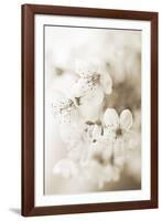 Vernus I (sepia)-Eva Charlotte Fransson-Framed Giclee Print