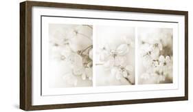 Vernus Triptych (sepia)-Eva Charlotte Fransson-Framed Giclee Print