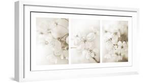 Vernus Triptych (sepia)-Eva Charlotte Fransson-Framed Giclee Print