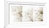 Vernus Triptych (sepia)-Eva Charlotte Fransson-Framed Giclee Print