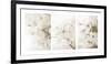 Vernus Triptych (sepia)-Eva Charlotte Fransson-Framed Giclee Print