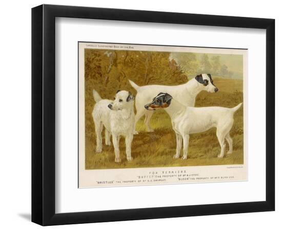 Photographic Print, , large
