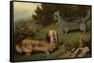 Canvas Black