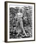 Veronica Carlson-null-Framed Photo