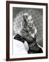 Veronica Lake, Early 1940s-null-Framed Photo