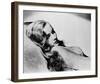 Veronica Lake-null-Framed Photo