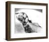 Veronica Lake-null-Framed Photo