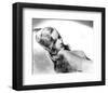 Veronica Lake-null-Framed Photo